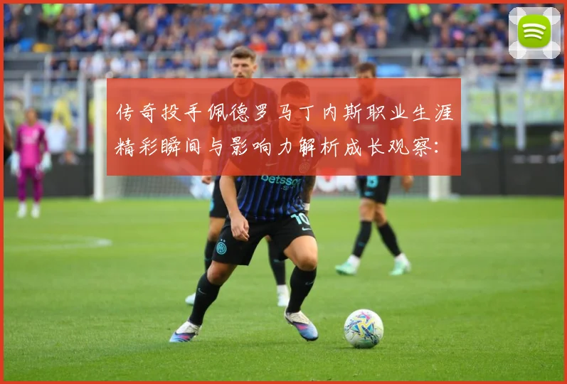 传奇投手佩德罗马丁内斯职业生涯精彩瞬间与影响力解析成长观察：最新赛事动态与深度分析