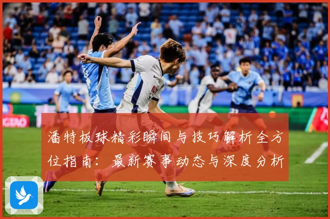 潘特板球精彩瞬间与技巧解析全方位指南：最新赛事动态与深度分析
