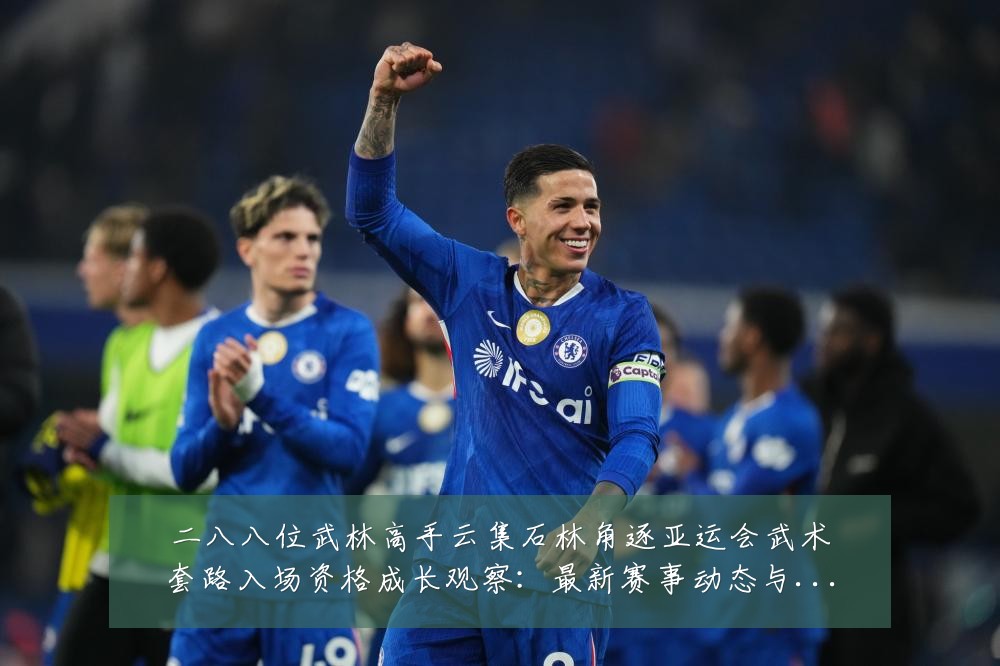 二八八位武林高手云集石林角逐亚运会武术套路入场资格成长观察：最新赛事动态与深度分析