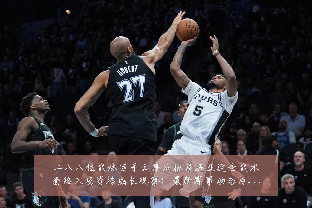 二八八位武林高手云集石林角逐亚运会武术套路入场资格成长观察：最新赛事动态与深度分析